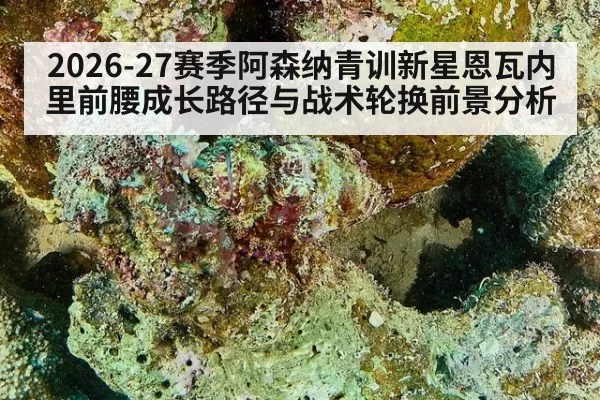 2026-27赛季阿森纳青训新星恩瓦内里前腰成长路径与战术轮换前景分析